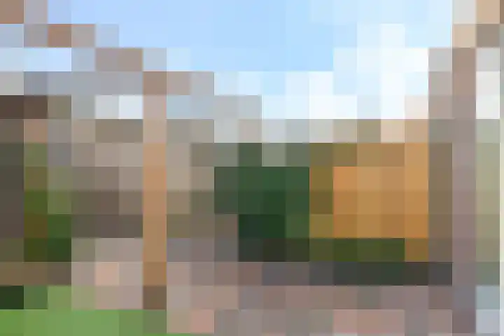 De Dries 39 Heteren thumbnail 64