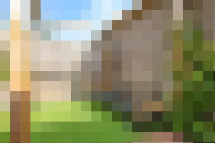 De Dries 39 Heteren thumbnail 65