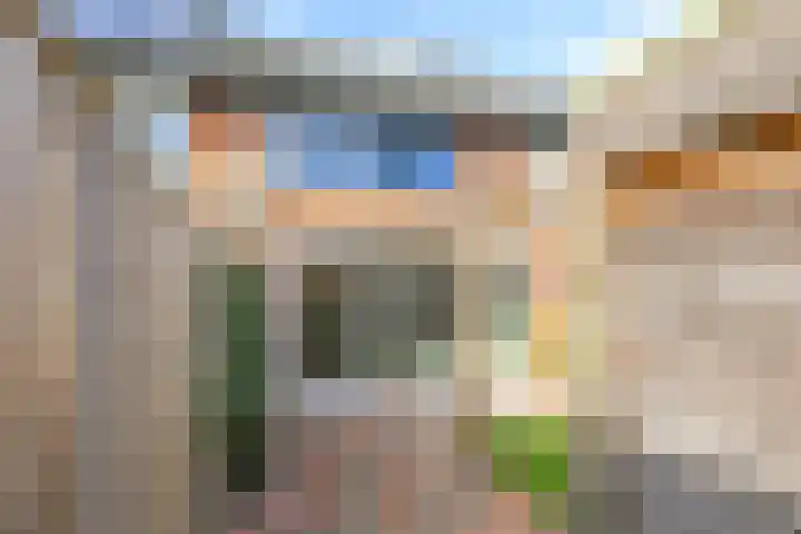 De Dries 39 Heteren thumbnail 67