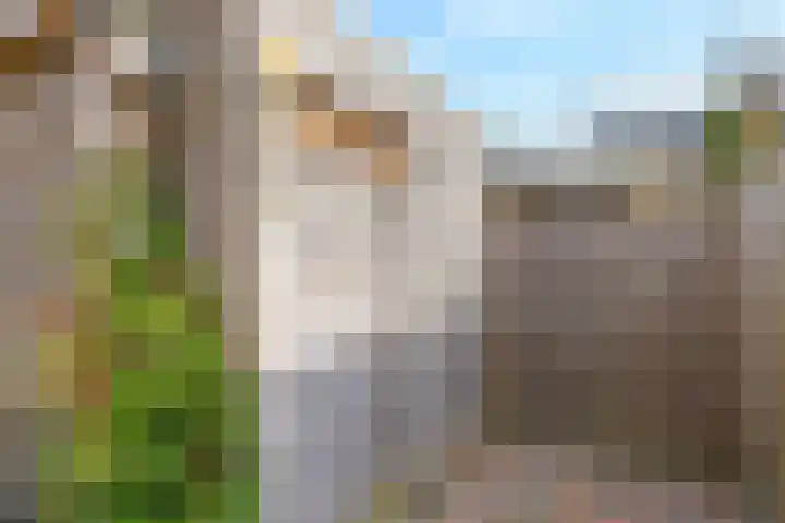 De Dries 39 Heteren thumbnail 69