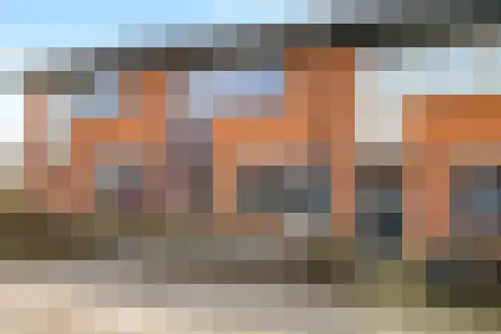 De Dries 39 Heteren thumbnail 70