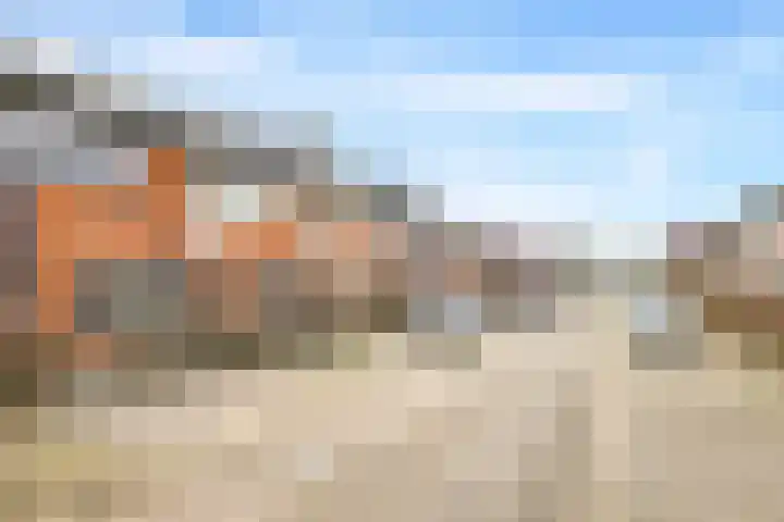 De Dries 39 Heteren thumbnail 71