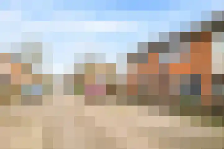 De Dries 39 Heteren thumbnail 72