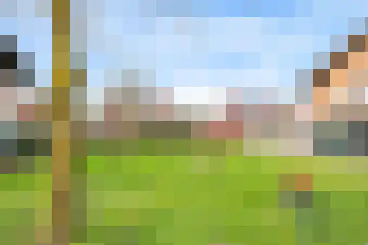 De Dries 39 Heteren thumbnail 74