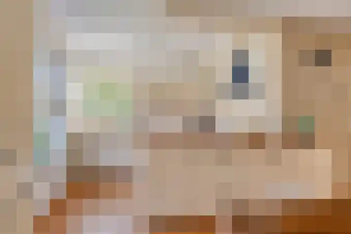 De Driesprong 1 Dronten thumbnail 12