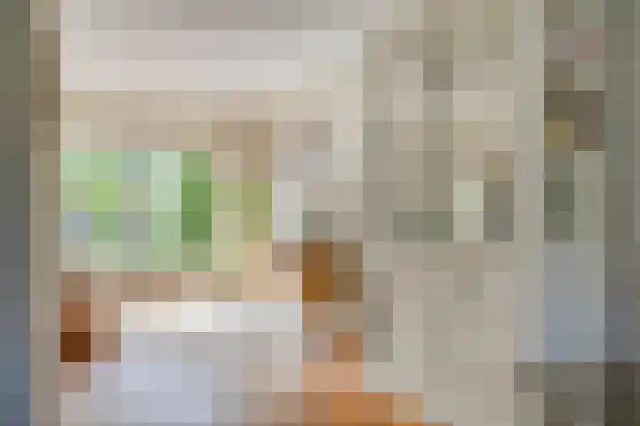 De Driesprong 1 Dronten thumbnail 15