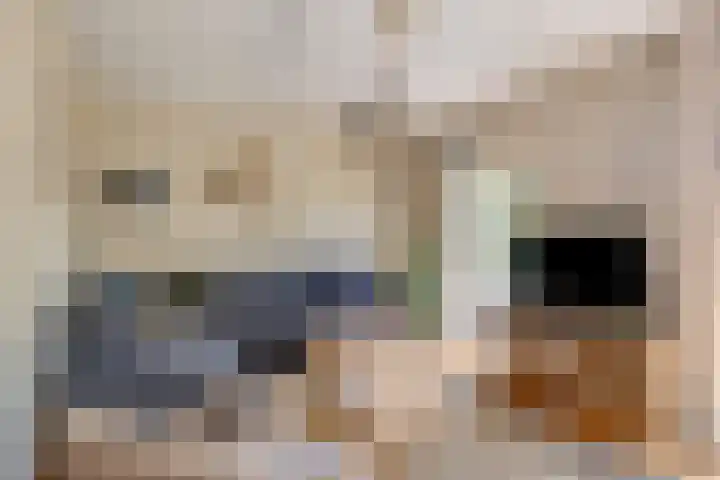 De Driesprong 1 Dronten thumbnail 17
