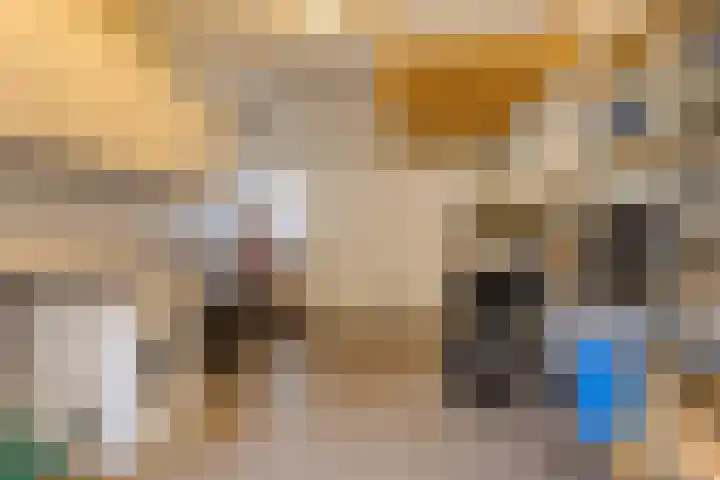 De Driesprong 1 Dronten thumbnail 20