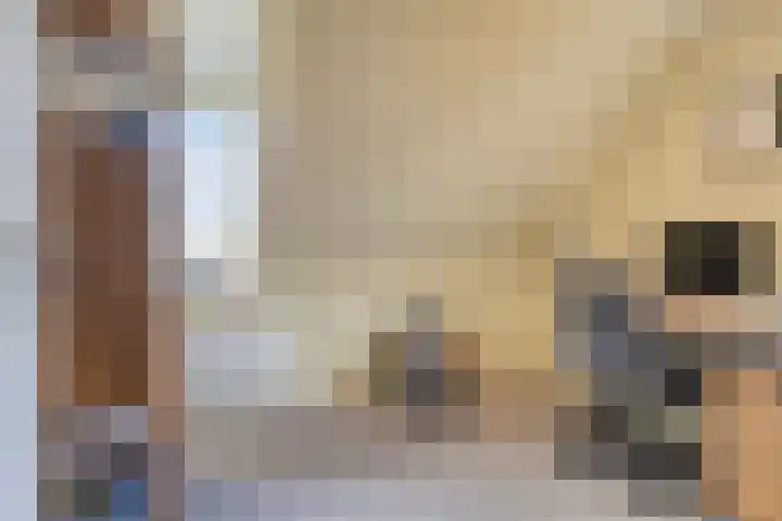 De Driesprong 1 Dronten thumbnail 25