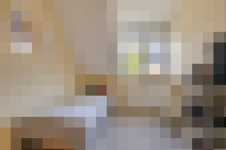 De Driesprong 1 Dronten thumbnail 26