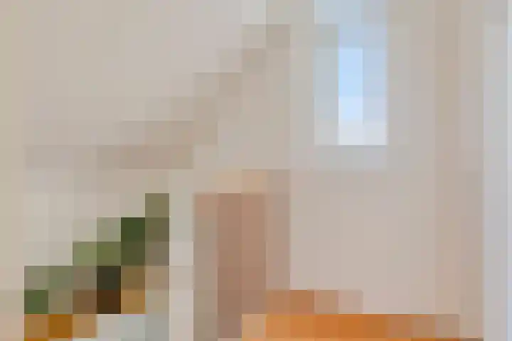 De Driesprong 1 Dronten thumbnail 32
