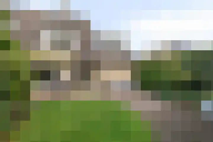 De Driesprong 1 Dronten thumbnail 35
