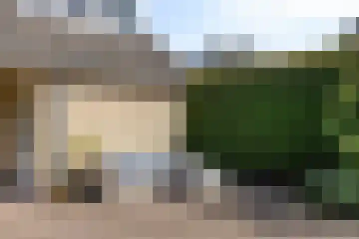De Driesprong 1 Dronten thumbnail 37