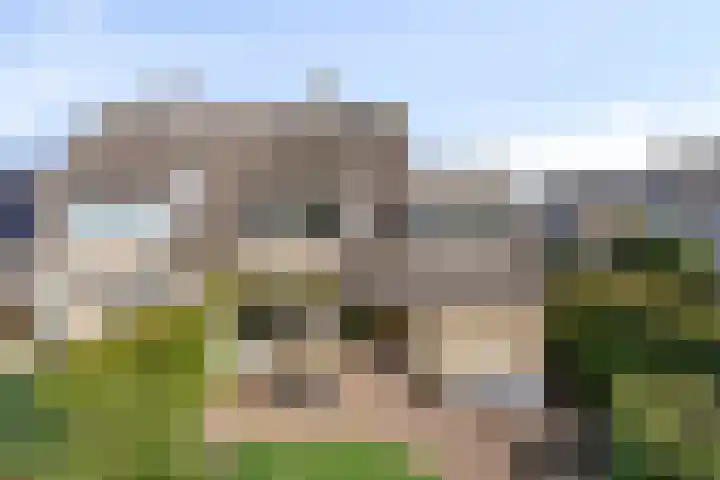 De Driesprong 1 Dronten thumbnail 38
