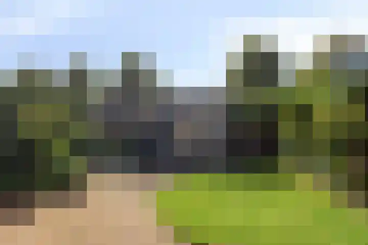 De Driesprong 1 Dronten thumbnail 39
