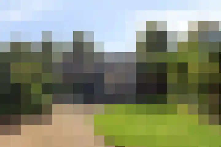 De Driesprong 1 Dronten thumbnail 4