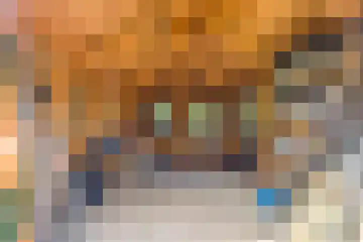 De Driesprong 1 Dronten thumbnail 41