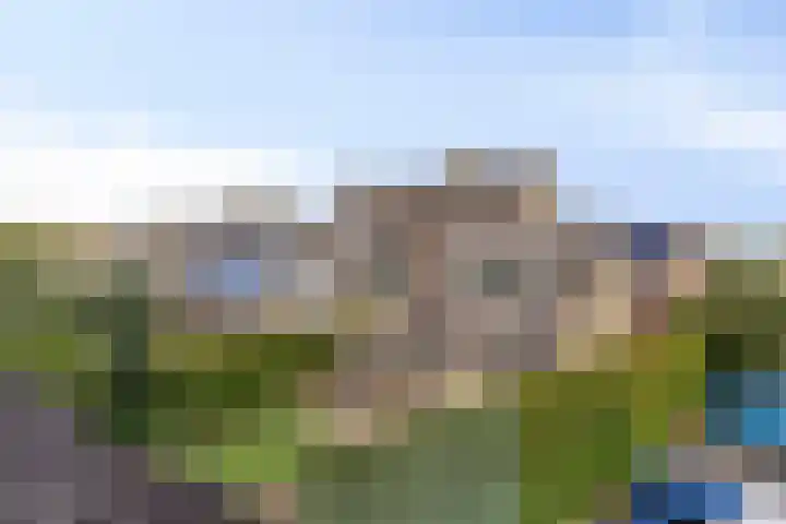 De Driesprong 1 Dronten thumbnail 43