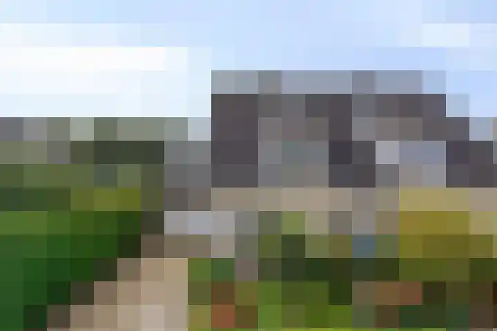 De Driesprong 1 Dronten thumbnail 44