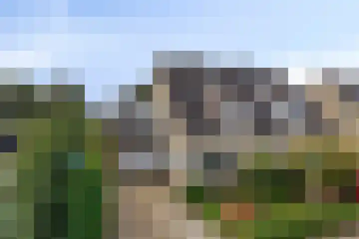De Driesprong 1 Dronten thumbnail 45