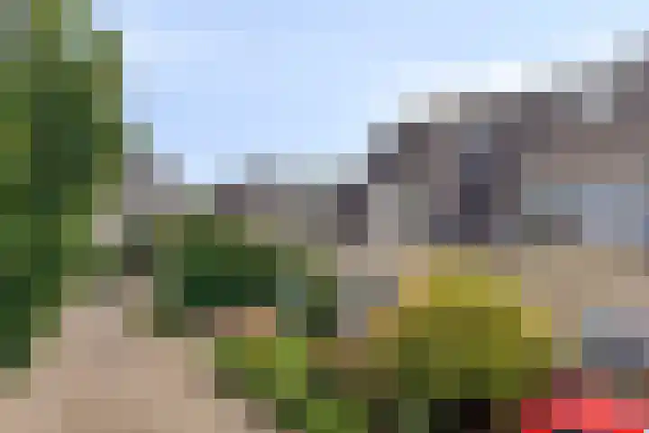 De Driesprong 1 Dronten thumbnail 46