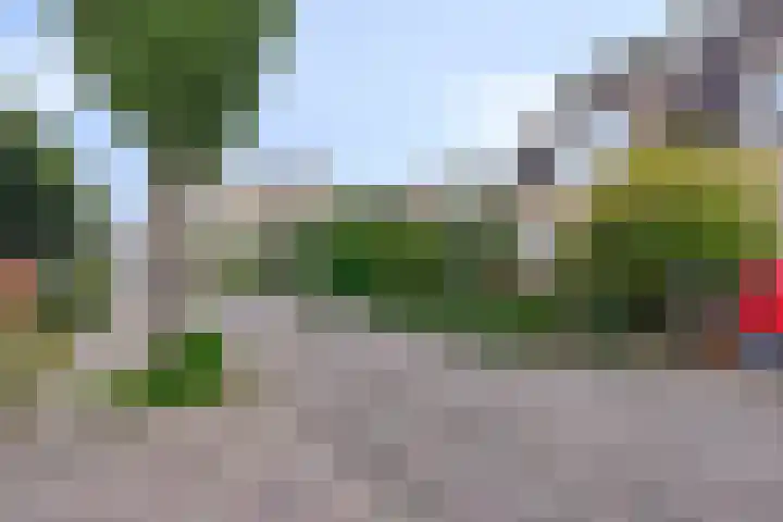 De Driesprong 1 Dronten thumbnail 48
