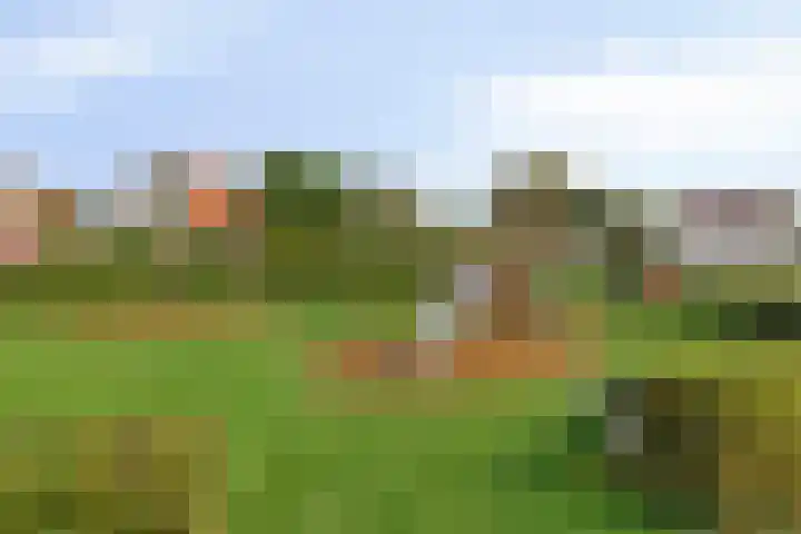 De Driesprong 1 Dronten thumbnail 49
