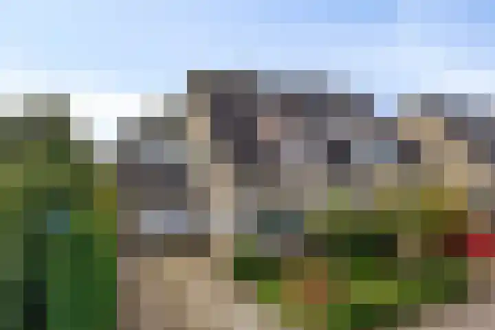 De Driesprong 1 Dronten thumbnail 5