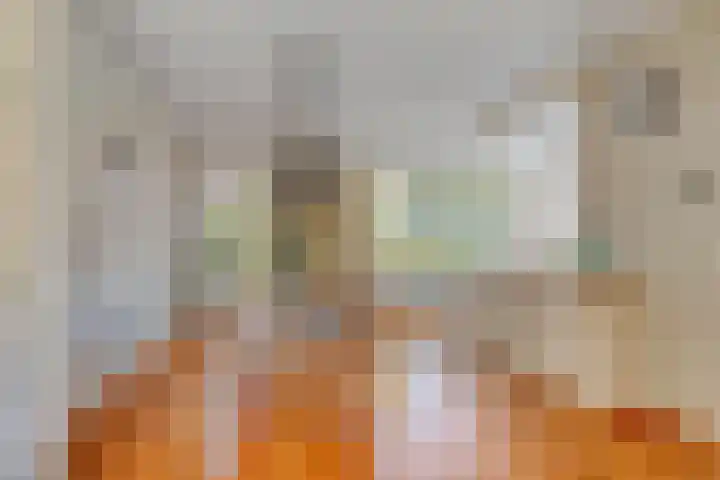 De Driesprong 1 Dronten thumbnail 9