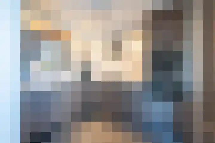 De Driesprong 2 Linschoten thumbnail 15