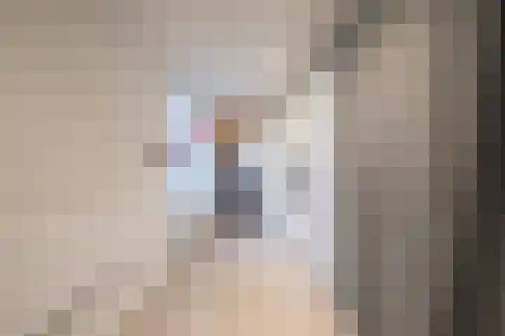 De Driesprong 2 Linschoten thumbnail 18