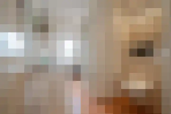 De Driesprong 2 Linschoten thumbnail 22