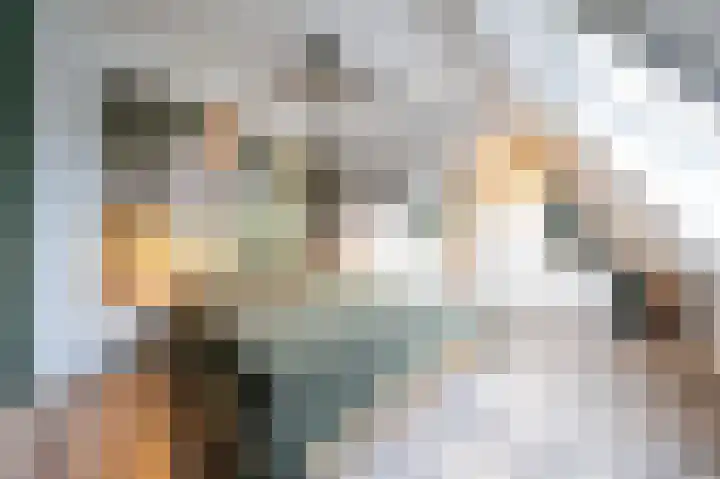 De Driesprong 2 Linschoten thumbnail 27