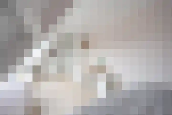De Driesprong 2 Linschoten thumbnail 35