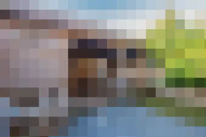 De Driesprong 2 Linschoten thumbnail 39