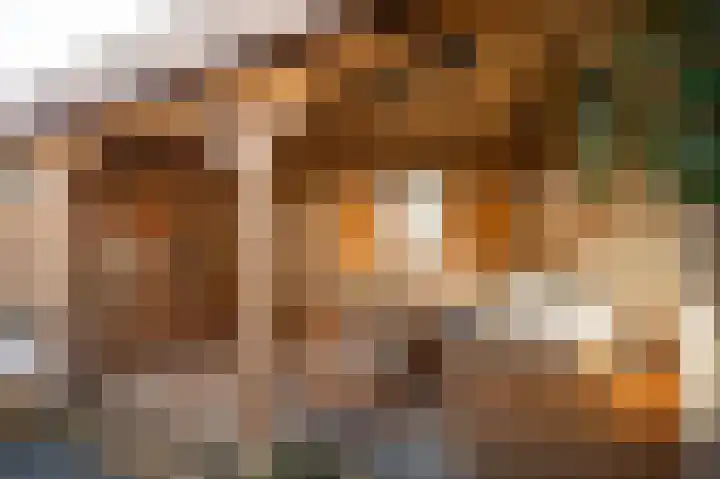 De Driesprong 2 Linschoten thumbnail 4