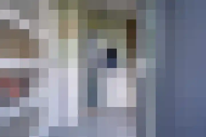 De Driesprong 2 Linschoten thumbnail 6