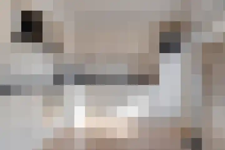 De Driesprong 21 Dronten thumbnail 15
