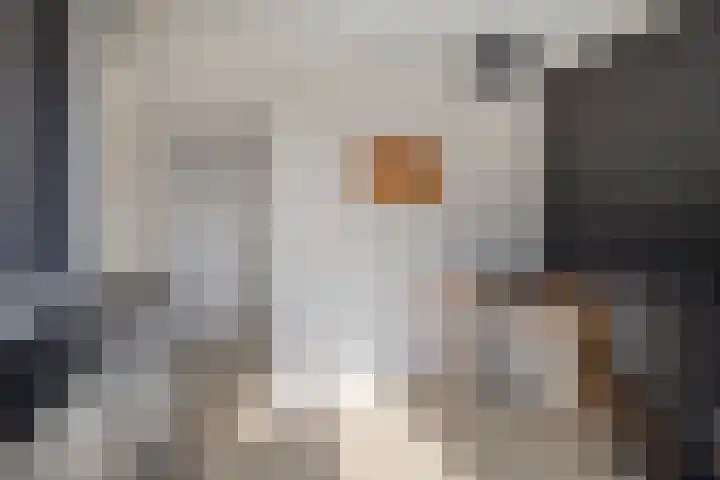 De Driesprong 21 Dronten thumbnail 25