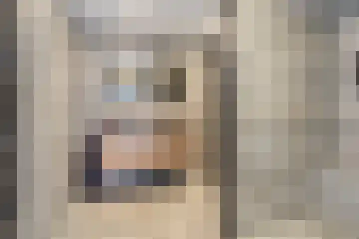 De Driesprong 21 Dronten thumbnail 30