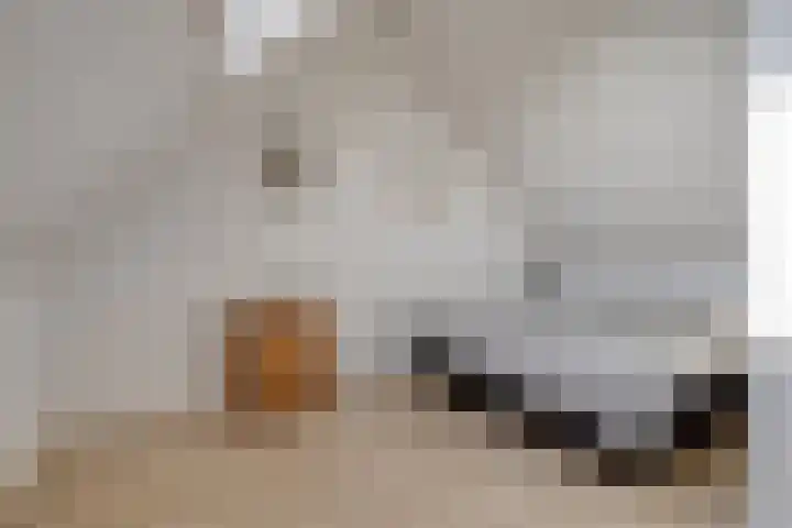 De Driesprong 21 Dronten thumbnail 34
