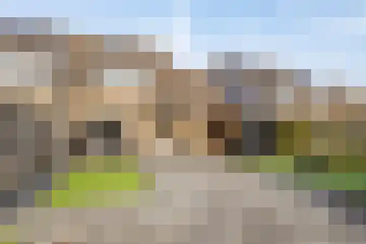 De Driesprong 21 Dronten thumbnail 36