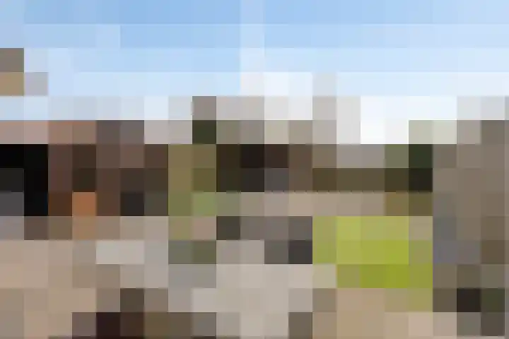 De Driesprong 21 Dronten thumbnail 37