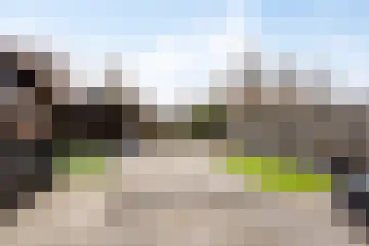 De Driesprong 21 Dronten thumbnail 38