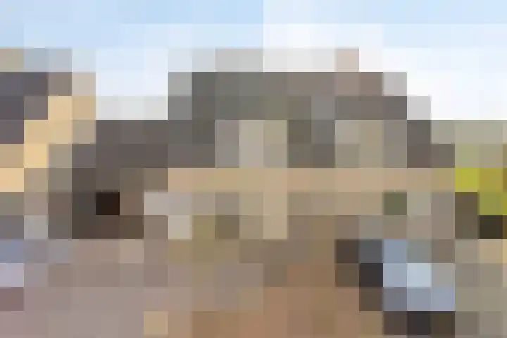 De Driesprong 21 Dronten thumbnail 41