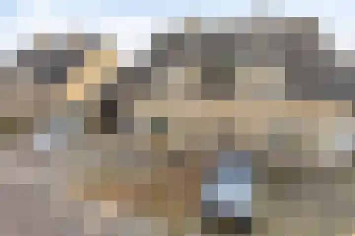 De Driesprong 21 Dronten thumbnail 42
