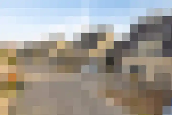 De Driesprong 21 Dronten thumbnail 43