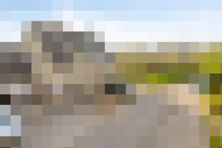 De Driesprong 21 Dronten thumbnail 46