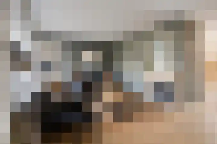 De Driesprong 21 Dronten thumbnail 9