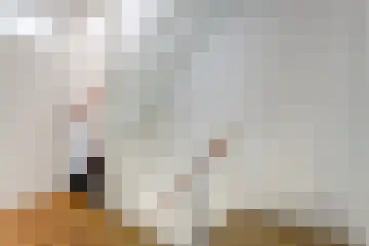 De Driesten 9 Ermelo thumbnail 19